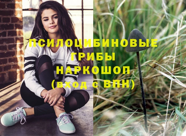 дурь Приозерск