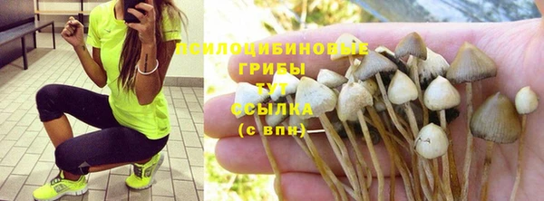 метадон Россошь