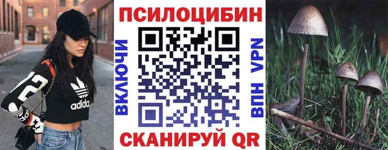 Купить закладки  Соликамск  Галлюциногенные грибы мицелий 